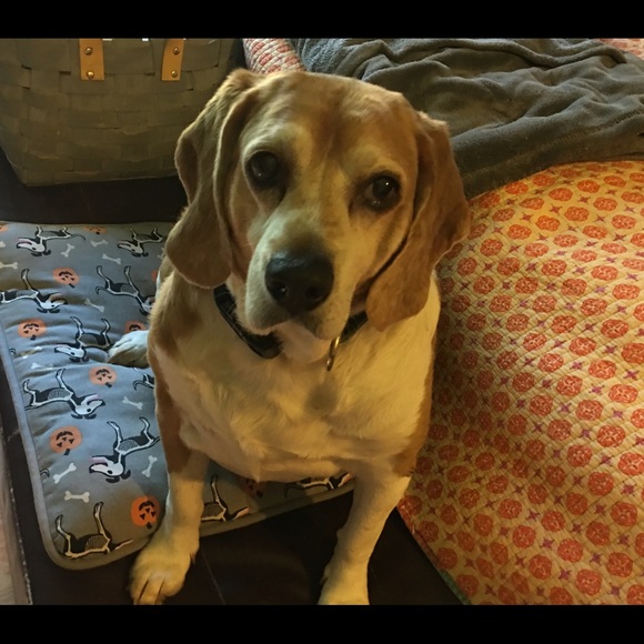 Meet your Posher, Donna - Picture 5 of 7